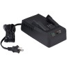 Sturtevant Richmont SRT12039 2000PTC Cargador de Batería 20V, US