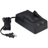 Sturtevant Richmont SRT12039 2000PTC Cargador de Batería 20V, US