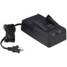 Sturtevant Richmont SRT12039 2000PTC Cargador de Batería 20V, US