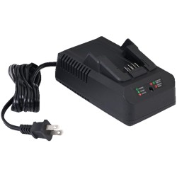 Sturtevant Richmont SRT12039 2000PTC Cargador de Batería 20V, US