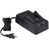 Sturtevant Richmont SRT12039 2000PTC Cargador de Batería 20V, US